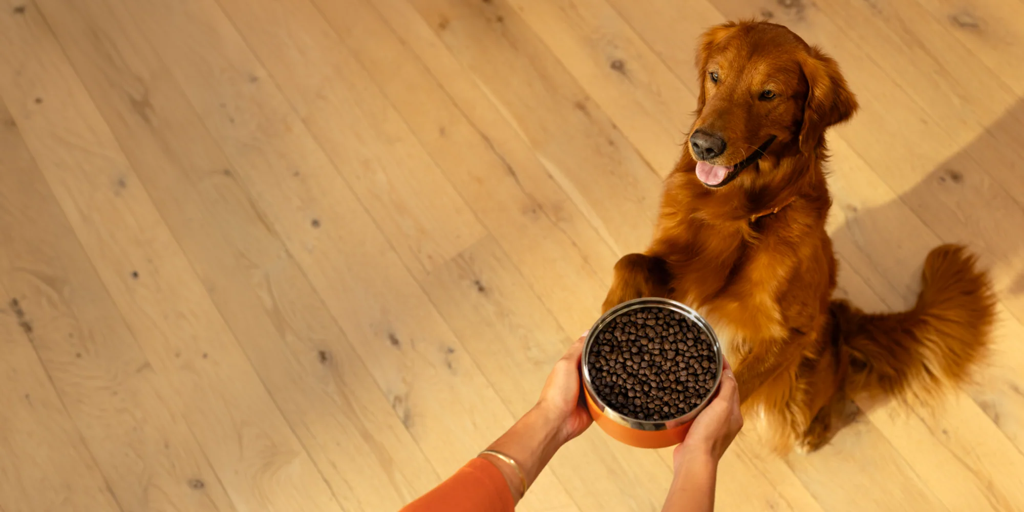 Nourish Their Natural Vitality